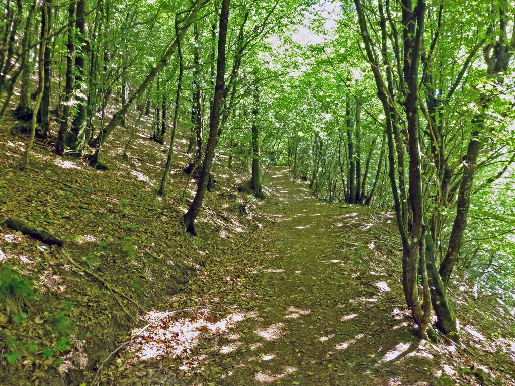 بستويا Locanda Le Panche المظهر الخارجي الصورة